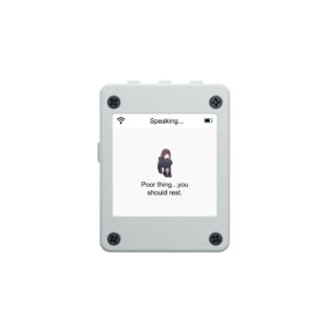 Y2 Emotional Companion